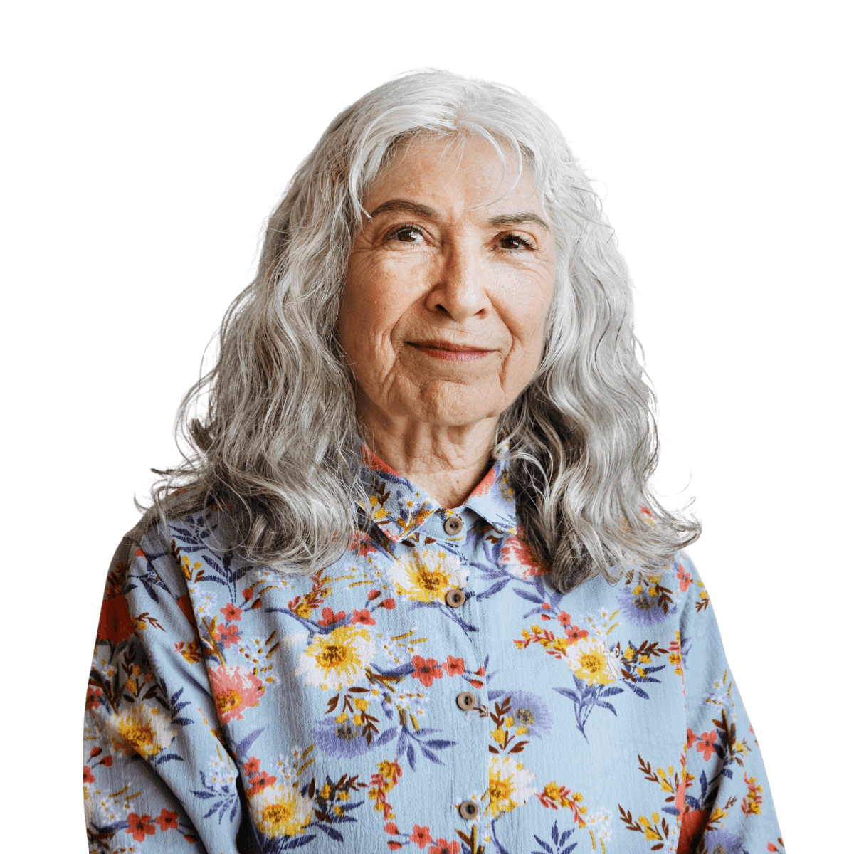 HeroImg - Senior woman using Medicare portal
