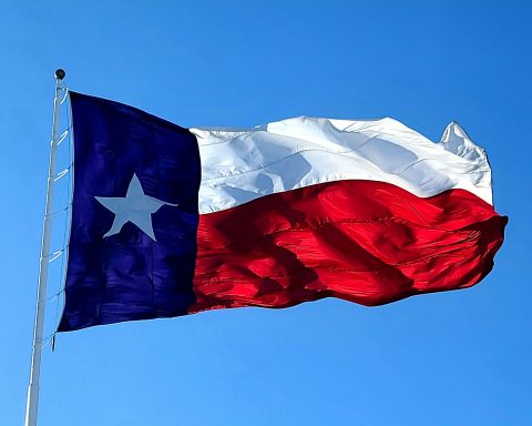 Texas State Flag