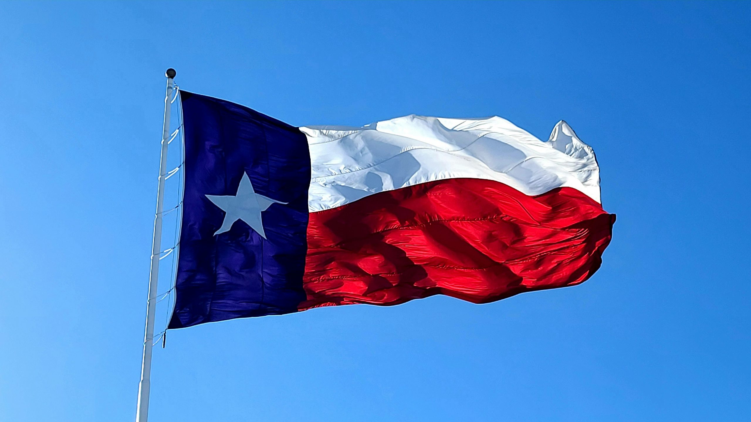 Texas State Flag