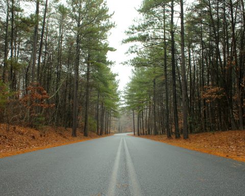 North Carolina mountains