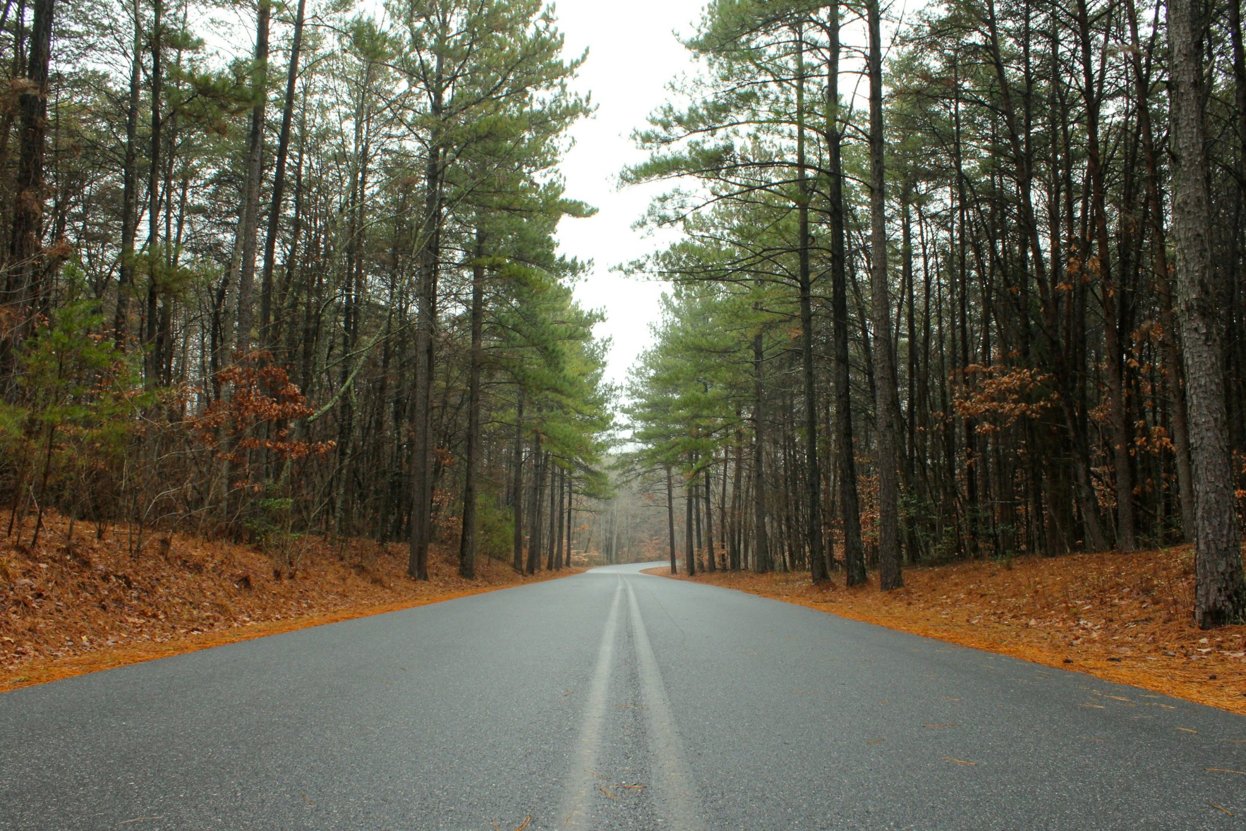 North Carolina mountains