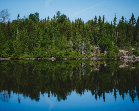 Minnesota lakes